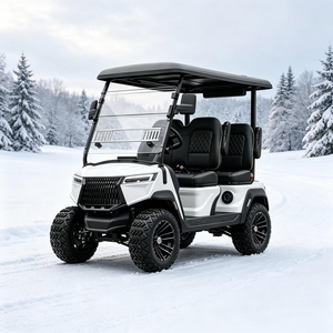 Voiturette de golf électrique tout-terrain, accessoires sur mesure pour parc de loisirs privé, pour utilisation sur routes non publiques, DOT CE EEC - Product Image 1