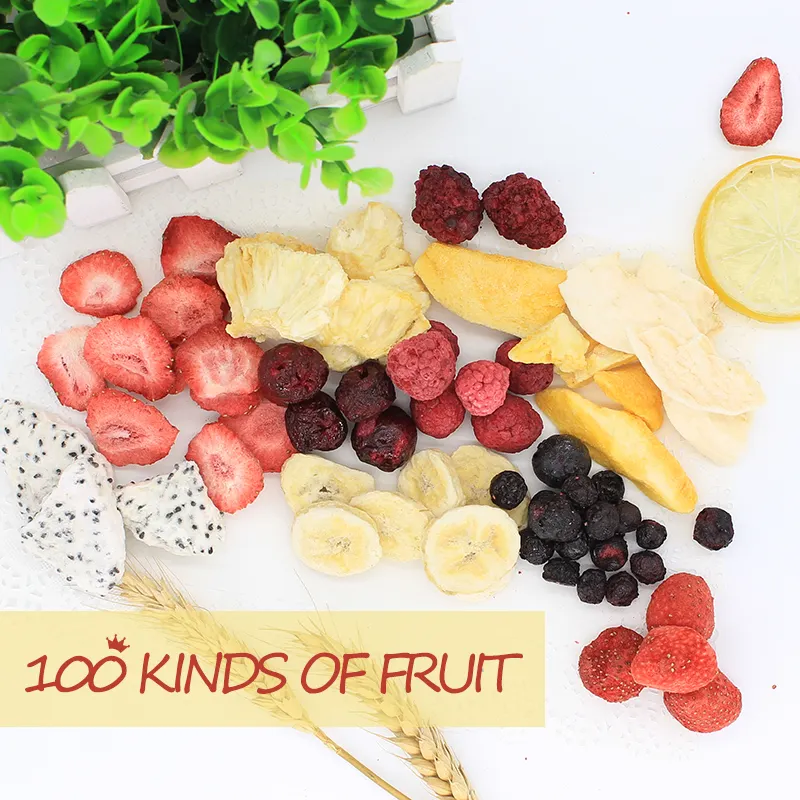TTN malzemeleri ucuz toplu çeşitli dondurularak kurutulmuş gıda meyve ve sebze toptan toplu kurutulmuş meyve hiçbir şeker içecek için eklendi