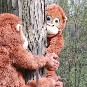 Boneka Orangutan Merah Eunegeskoog Lintas Negara dengan Isian Kapas PP, Monyet Berlengan Panjang Realistis 31cm-50cm