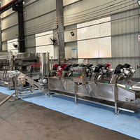 Commerciële aardappelchipsmachine 100-3000kg/uur, semi-automatische productielijn voor frieten met schil- en frituursysteem