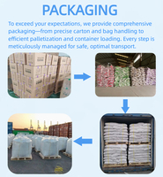 Arena para Gatos de Bentonita Premium, 5L, 10L, 25L, Precio de Fábrica