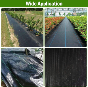 Toile <span class=keywords><strong>anti</strong></span>-mauvaises herbes pour l'agriculture, perméable à l'eau, <span class=keywords><strong>anti</strong></span>-racines, tissu pour couverture de sol en serre, maille - Product Image 3
