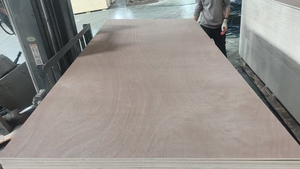 Pannello in <span class=keywords><strong>Compensato</strong></span> Commerciale 1250*2500 <span class=keywords><strong>MM</strong></span>, Pannello in <span class=keywords><strong>Compensato</strong></span> Decorativo - Product Image 4