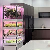 Système hydroponique intelligent IoT contrôlé par application, éclairage LED, agriculture verticale intérieure, hydroponie modulaire personnalisable à 5 niveaux