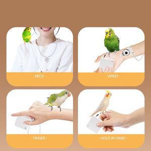 RVS intrekbare vogeltrainingsriem met pootring, milieuvriendelijk, merk ZF, voor vogelbenodigdheden - Product Image 2