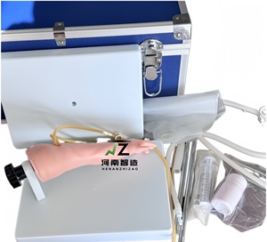 Medical Science Professional <strong>Pediatrics</strong> Infant Venipuncture Arm Training Simulator - Product Image 4
