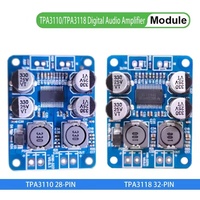 Module amplificateur audio numérique mono 60W DC 12V-24V avec puce originale TPA3110 TPA3118 28/32 broches
