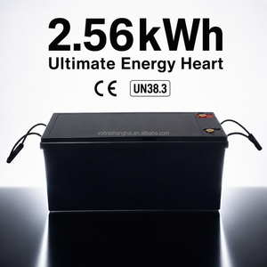 Paket Baterai LiFePO4 VOLTRA 12.8V 200Ah 6000+ Siklus Dalam Grade A untuk RV Camper Motorhome Solar Pengiriman Cepat Global Pajak Terbayar - Product Image 1