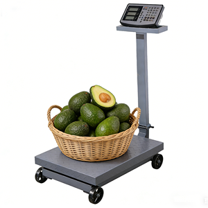 Balance électronique numérique de 400 kg avec écran LED | Plateforme personnalisable OEM/ODM pour pesage avec roues | Balance mobile - Product Image 1