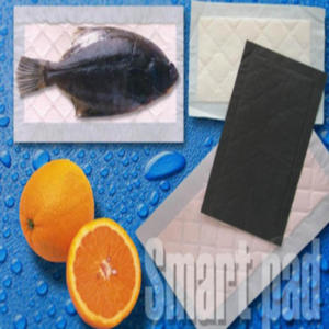 HIGH <b>SMART</b> High Quality Perforated PE Film Super Absorbent <b>Pad</b> 80X150MM with Custom Logo for FoodMeat Seafood and Poultry - Product Image 3