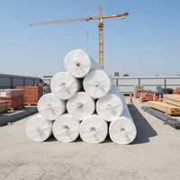 Géotextile résistant à la biodégradation 340g pour l'isolation et la protection des surfaces de travail des décharges de déchets