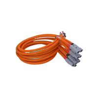 Câble haute tension personnalisé pour véhicules électriques, assemblage étanche IP67, faisceau de câblage en silicone ignifuge UL94 V-0, batterie haute courant