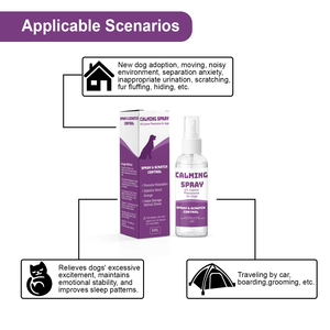 สเปรย์ปลอบประโลมสุนัขจากธรรมชาติ – ฟีโรโมนสุนัข 4% บรรเทาความวิตกกังวล (ส่งตรงจากโรงงาน) - Product Image 4