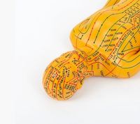 Modèle humain féminin jaune et blanc de 52 cm de hauteur avec points d'acupuncture anglais, en PVC souple, pour hôpital