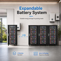 Batterie LiFePO4 montée sur rack 51,2V 280Ah 314Ah, système de stockage d'énergie domestique avec BMS 200A pour la sauvegarde solaire