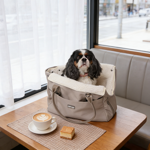 Portable Pet Travel Carrier for <b>Small</b> Dogs and Cats, Winter Pet Tote <b>Bag</b> with Soft Padding, OEM Custom Logo Support - Product Image 1