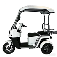 Tricycle électrique double moteur PMSM avec toit, scooter de mobilité à 3 roues, suspension en aluminium, frein à disque, trike de loisirs pour usage commercial