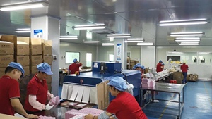 Produk Kecantikan Pabrik OEM jual krim wajah Retinol + kolagen + krim asam Hyaluronic OEM ODM krim kolagen - Product Image 4