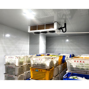 Endüstriyel makine Bitzer cocodk soğutma ısı alışverişi ekipmanı soğuk oda dondurulmuş depolama sebze meyve - Product Image 5
