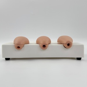 Modèle avancé de simulation utérine pour l'avortement indue, 3 modèles simulés d'anatomie utérine, formation en obstétrique et gynécologie - Product Image 1