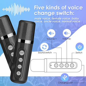Altavoces inalámbricos Bluetooth para máquina de karaoke con micrófono dual para adultos, niños, fiesta, Oficina - Product Image 5