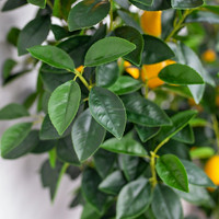 Künstlicher Bonsai 1,3m 12 Stück Umweltfreundliche Früchte Zitronenbaum Topfpflanzen für Hochzeit Weihnachten Heimdekoration