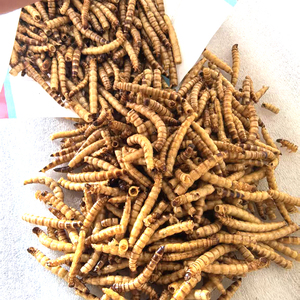 התולעת המולעת תולעת על עוף עוף ברווז עם חלבון גבוה - Product Image 3