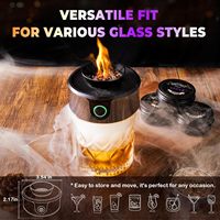 Kit Fumeur Électrique à Whisky – Portable, Construction Métallique, Marque TX, 6 Copeaux de Bois pour des Saveurs Fumées Riches pour le Bourbon et les Cocktails Anciens