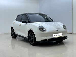<span class=keywords><strong>Ora</strong></span> Good <span class=keywords><strong>Cat</strong></span> 2024 401km Édition Luxe Électrique Pliable Coffre Extensible Compact Rétro EV Carrosserie Flexible Facile à Stationner - Product Image 3