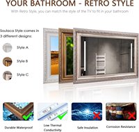 Système de télévision intelligente à miroir caché de 22 pouces avec décoration