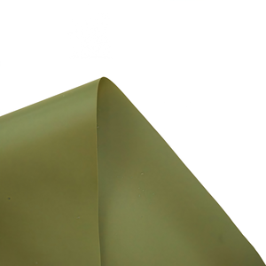 <span class=keywords><strong>Film</strong></span> TPU thermofusible vert 0,22 mm d'épaisseur à surface givrée OEM&ODM, <span class=keywords><strong>film</strong></span> transparent pour vêtements, 100 % polyester pour usage automobile - Product Image 4