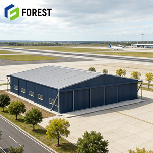 Hangar de Aviones Personalizado y Duradero, Estructura de Acero Resistente a Terremotos para Mantenimiento de Helicópteros, con Servicio de Diseño - Product Image 1
