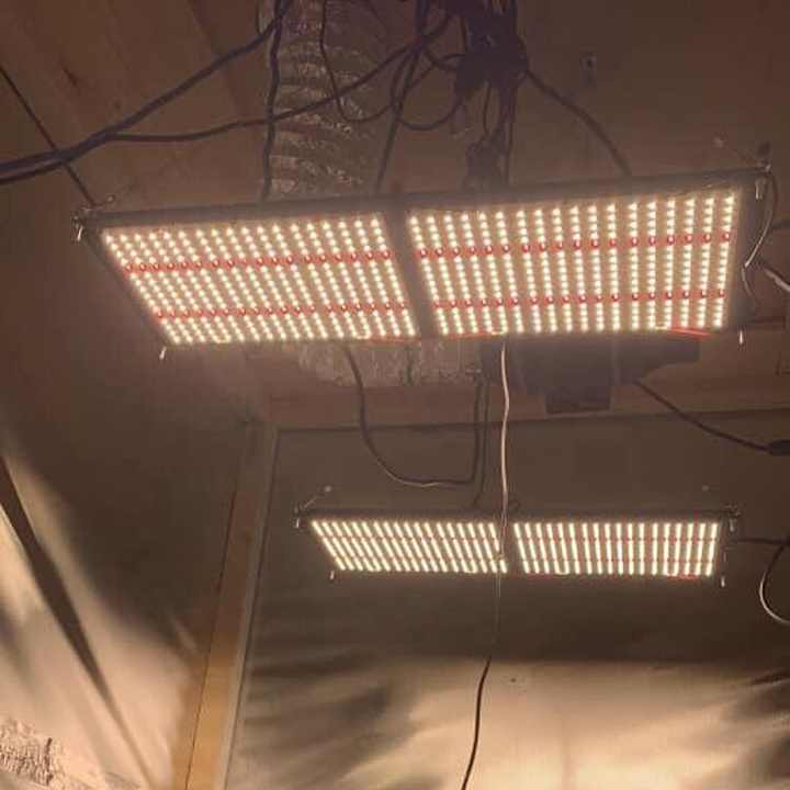 Meiju Samsung LM301B 240W Full Spectrum LED Grow Light for Medical