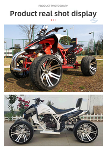 รถสามล้อเครื่องยนต์ 250 ซีซี 4 จังหวะ ใช้แก๊ส/LPG ขับเคลื่อนด้วยโซ่ ได้รับการรับรองมาตรฐาน EEC สำหรับการขับขี่แบบออฟโรด - Product Image 5