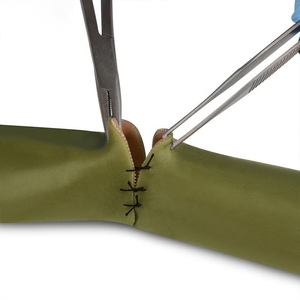 La caposala degli studenti di medicina nella specialità medica insegna l'insegnamento della sutura del silicone del modello di sutura intestinale - Product Image 3