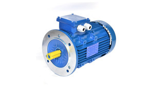 Moteur asynchrone triphasé standard à livraison rapide, 50Hz, efficacité IE4, 18,5KW, montage à bride, 220V, IP54, 100% - Product Image 2