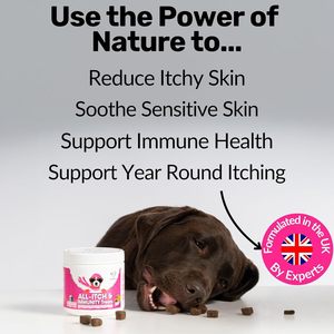 Suplemento Masticable Multivitamínico Personalizado para Perros OEM/ODM, Salud de la Piel y el Pelaje, Apoyo Inmunológico, Alivia la Picazón, Fórmula Personalizada para Mascotas - Product Image 2