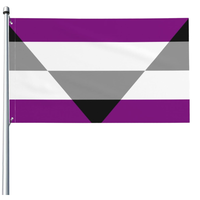 Haute qualité 3X5 Ft Autochorissexual Asexual Ace Spectrum Pride Flag avec deux œillets