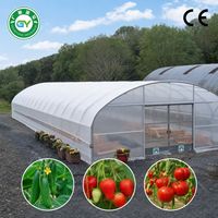 Serre tunnel agricole Guangyuan multi-chapelles en PE à double couche avec structure en acier galvanisé pour la culture de légumes