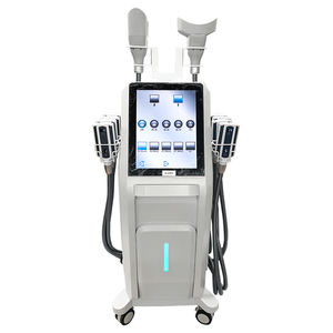 เครื่องแช่แข็งสลายไขมัน กำจัดเซลลูไลท์ สำหรับร้านเสริมสวย ปี 2026 - Product Image 1