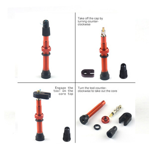 <span class=keywords><strong>Valve</strong></span> de pneu de vélo de montagne Tubeless <span class=keywords><strong>Valve</strong></span> de pneu de vélo domestique Tige en aluminium avec noyau en laiton - Product Image 2