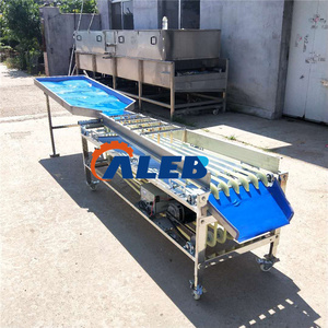 Machine de tri de fruits en acier inoxydable à haute efficacité, type convoyeur automatique, pour le classement des jujubes, tomates, pommes et mangues - Product Image 2
