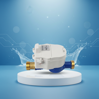 Lecteur d'impulsions sans fil pour compteurs d'eau alimenté par batterie LoRaWAN/NB-IoT pour solutions de mesure intelligente