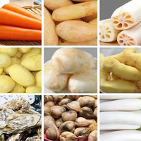 Fabrieksgroothandelsprijs aardappel schilmachine aardappel reinigingsmachine wortel aardappel schiller borstelrol wasmachine