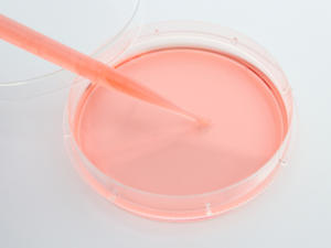 저밀도 폴리에틸렌 (LDPE) 트랜스퍼 피펫으로 제조 된 1ml 3ml 5ml - Product Image 4