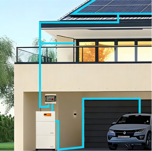 Sistema de Almacenamiento de Energía Solar para el Hogar con Batería de Iones de Litio de 10KW - Product Image 6
