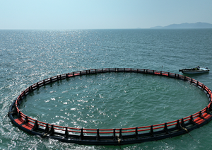 Cage flottante en HDPE à 8 trous/unité pour l'élevage de poissons - Product Image 2