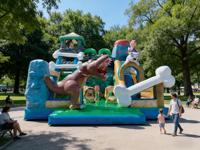  Structure de jeu combinée à thème dinosaure avec toboggan et parcours d'obstacles, aire de jeux d'aventure préhistorique multi-activités pour enfants, pour fêtes et usage commercial