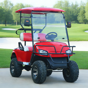 Buggy Eléctrico de 4 Ruedas con Batería de Litio de 72V, Modelo <span class=keywords><strong>Serie</strong></span> 2, Vehículo Utilitario Eléctrico de 2 Plazas, Carro de Golf Eléctrico de 2 Plazas - Product Image 2