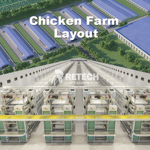 Buon Prezzo Automatico Pollame Farm H Tipo di 5000 Uccelli di Galline Ovaiole Batteria di Pollo Strato Gabbia - Product Image 5